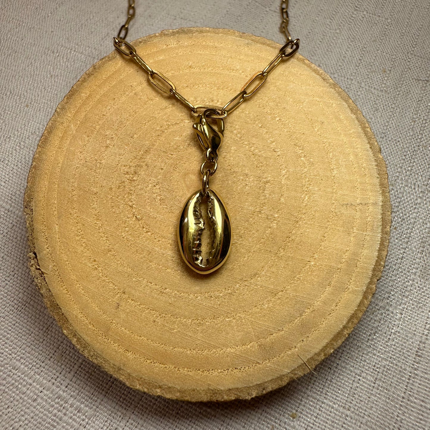 Coquillage Alaïa Bijoux