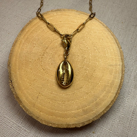 Coquillage Alaïa Bijoux