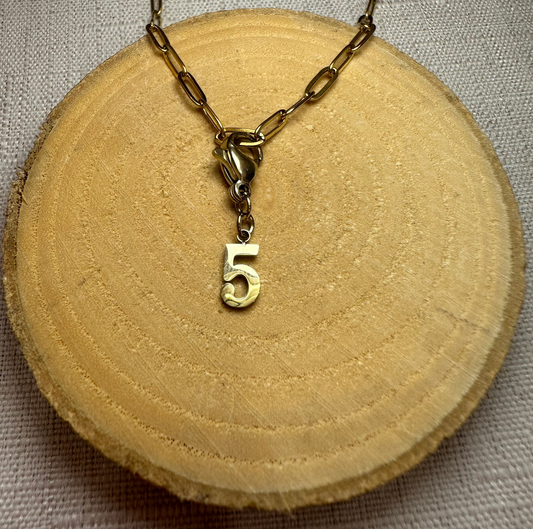 5 Alaïa Bijoux