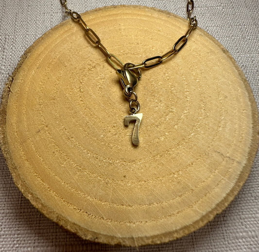 7 Alaïa Bijoux